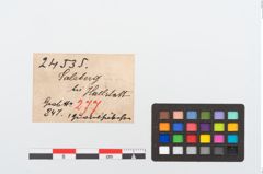 Etikett zu Bronzegürtelhaken (NHMW-PRAE-024535)